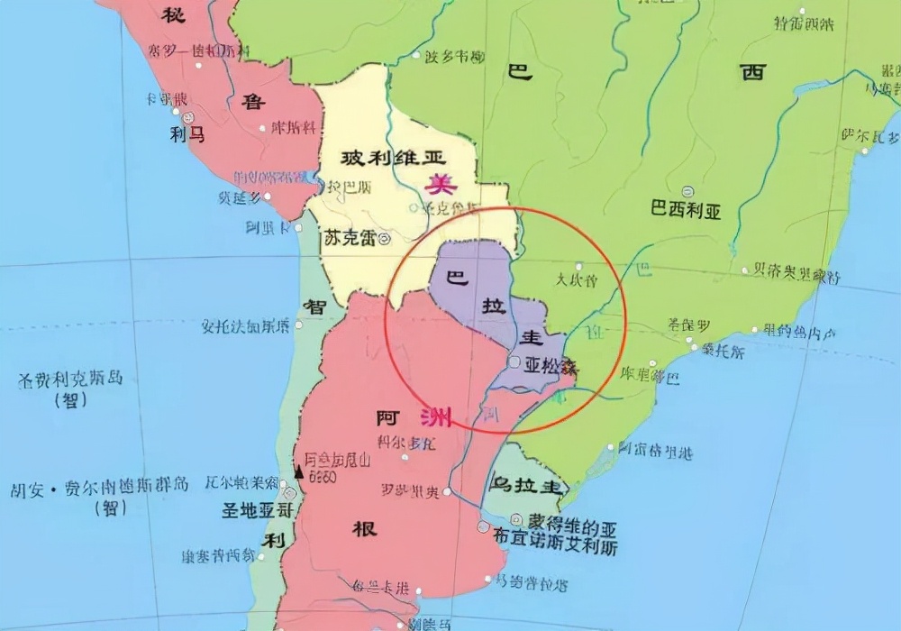 南美巴拉圭,南美巴拉圭苏木