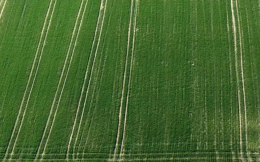 英国富豪农场纪录片,英国富豪农场主纪录片