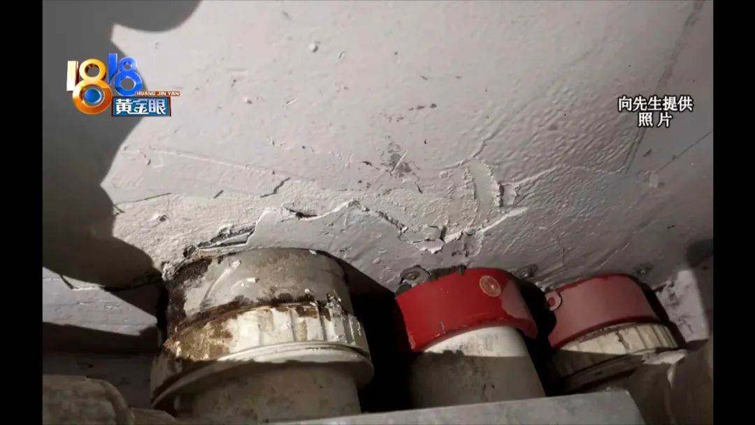 “雨虹”名字挺熟，这次77斤