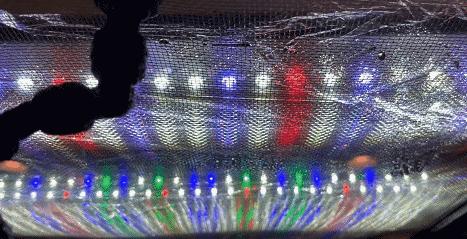 在卧室造一片弱肉强食的危险雨林，会打雷还真的会下雨