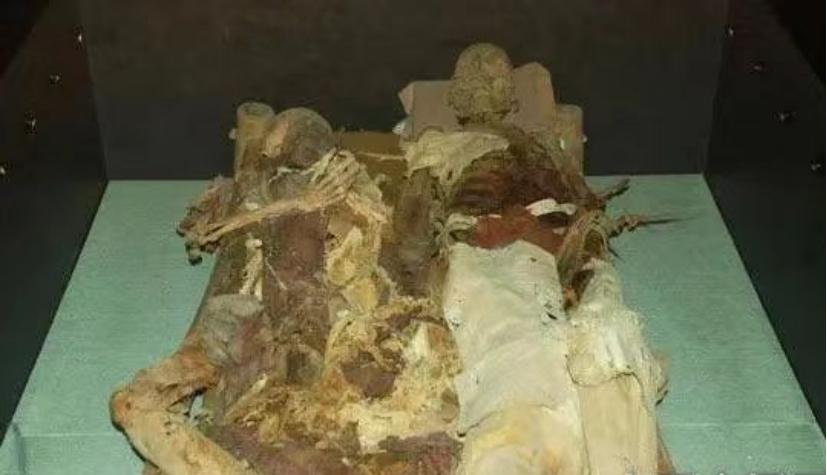 鎺㈢储鍙戠幇鐧惧勾骞插案,澶ч噺骞插案涓撳鍙戠幇鎯婁汉绾跨储