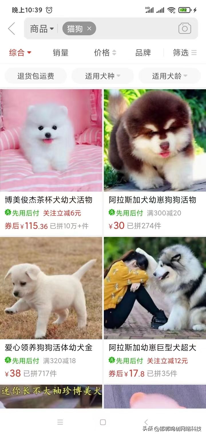 没有买卖就没有伤害的动物,没有买卖就没有伤害皮草公益广告