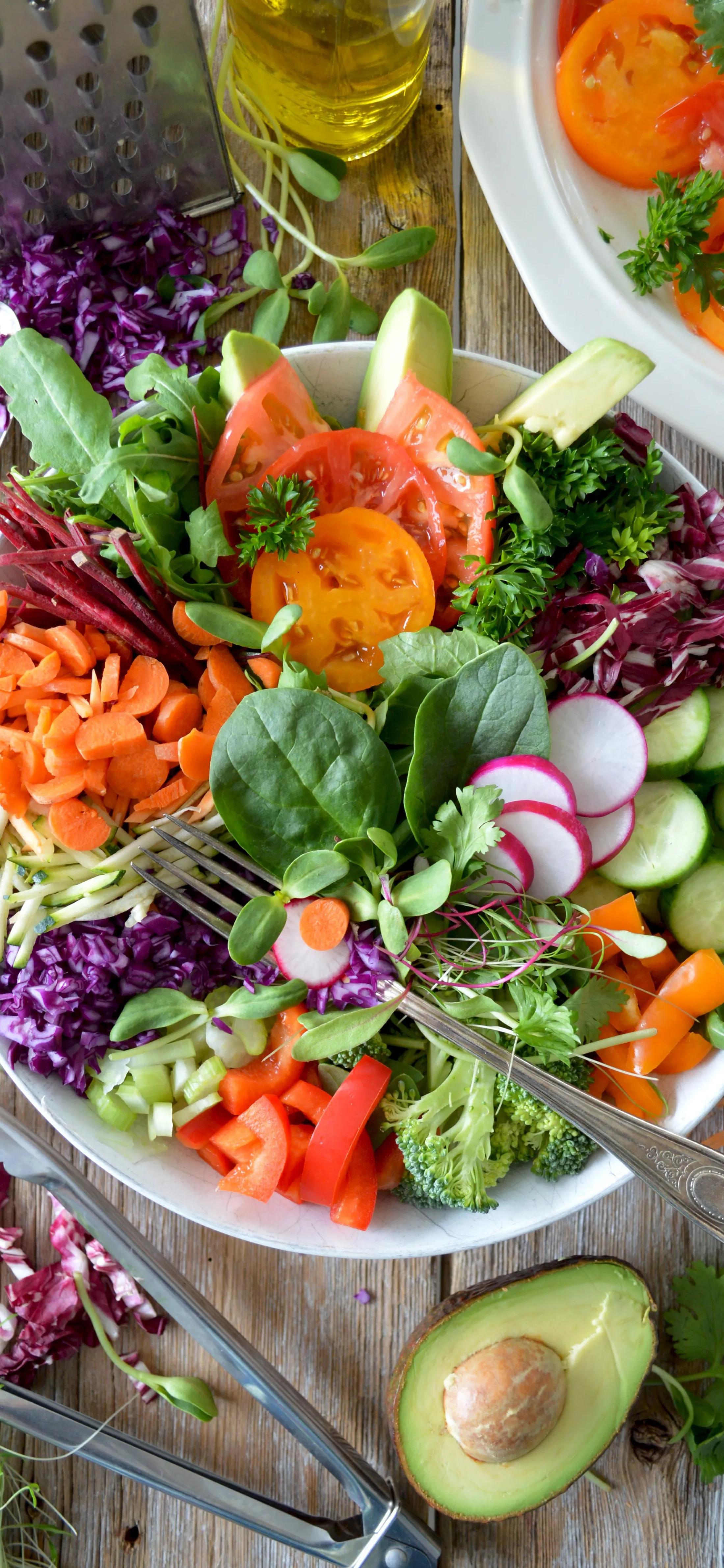 高清全面屏手机壁纸,米奇壁纸高清全面屏