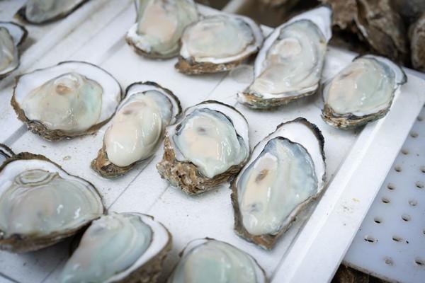 湾区光影魅力,南沙湾区超美风景线