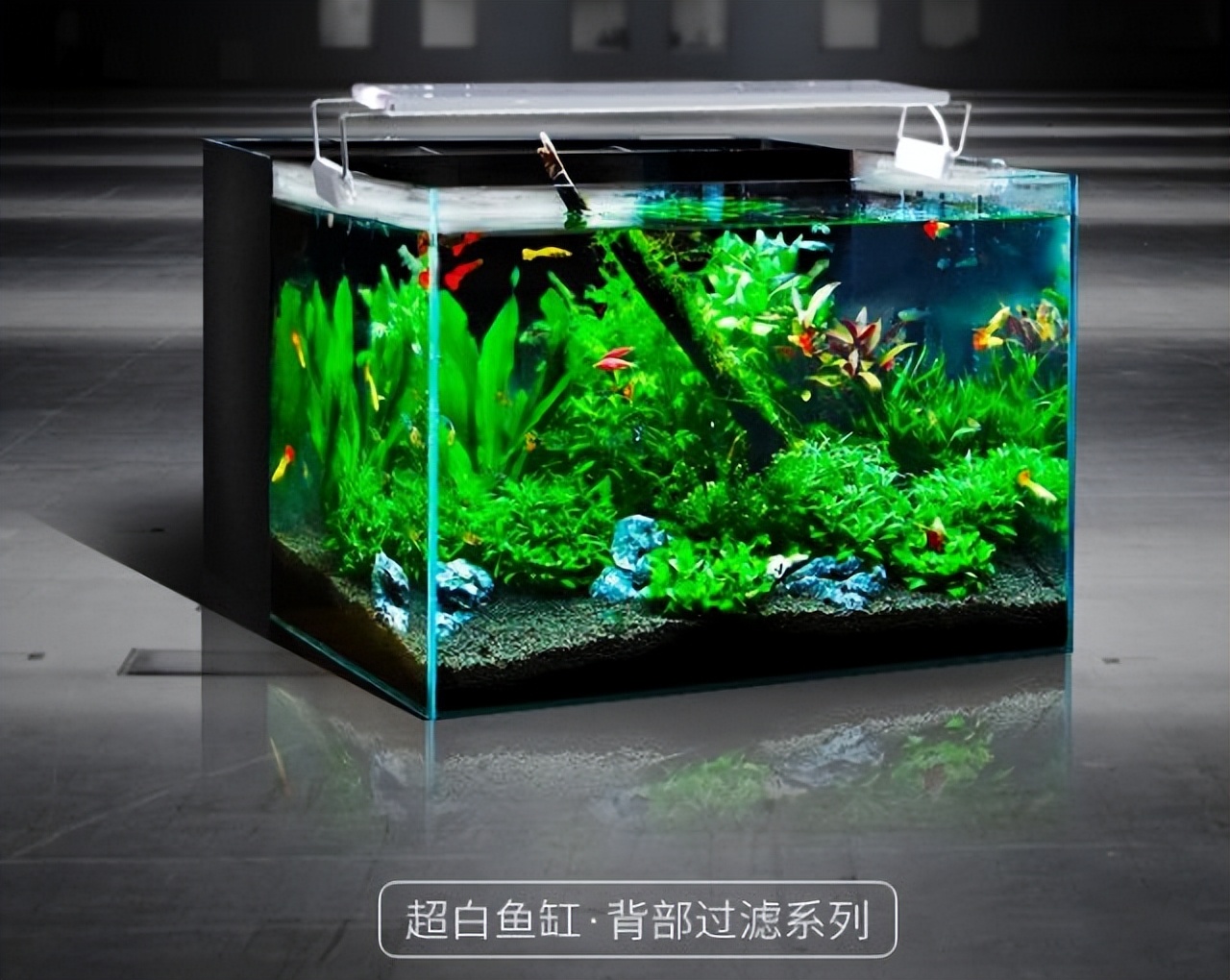 鱼缸自己制作,鱼缸制作方法全过程