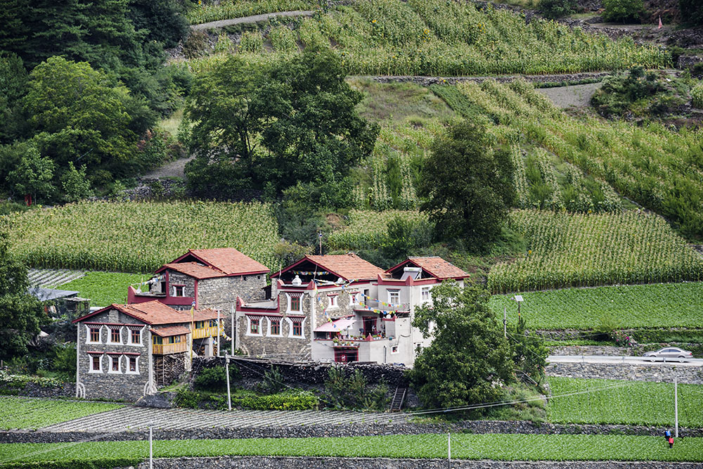 西部大草原旅游攻略,四川红原大草原自驾旅游攻略