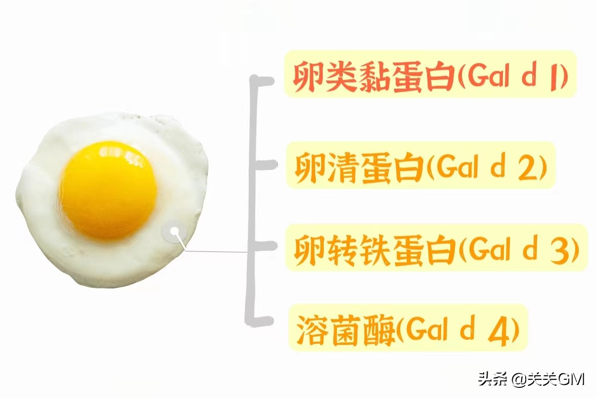 宝宝对鸡蛋过敏的反应,婴儿鸡蛋过敏后怎么脱敏
