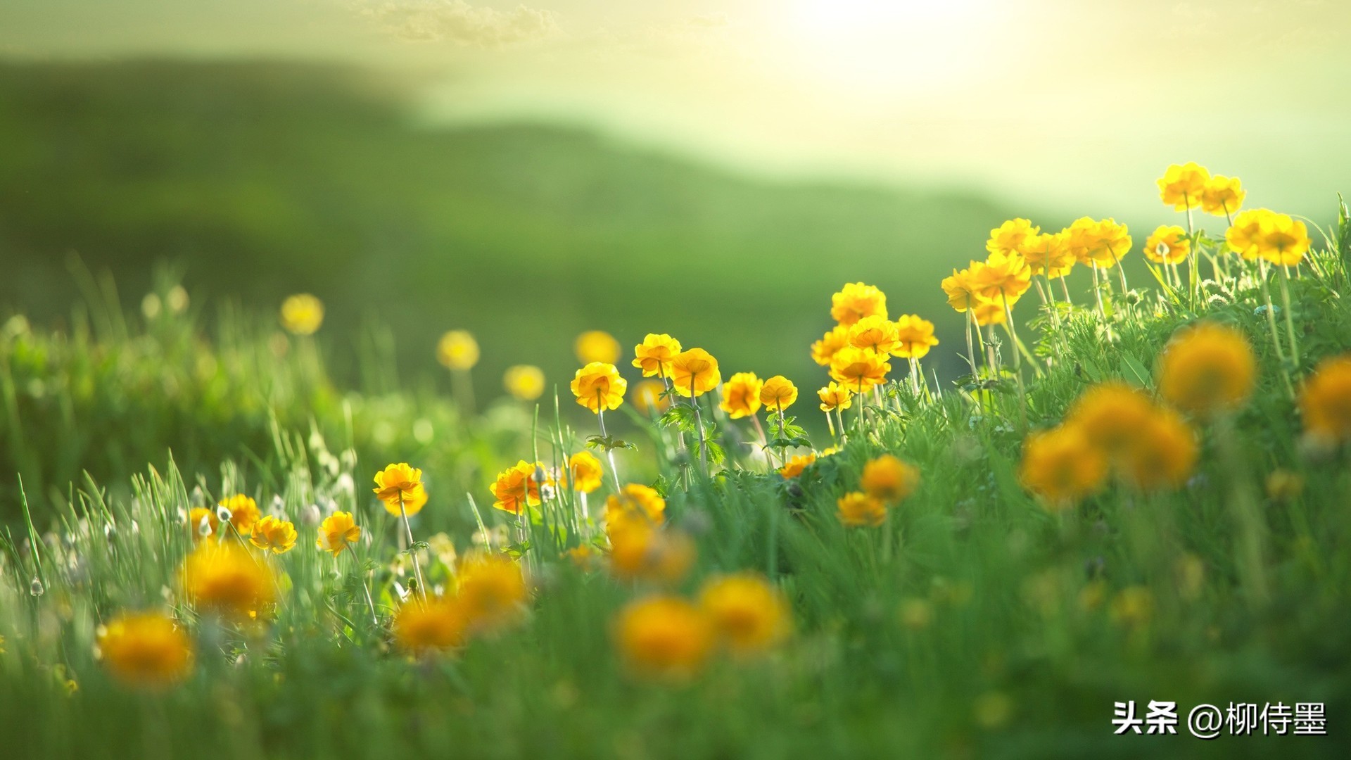 手机拍照怎么样才能拍出高级感,自行车人像拍照怎么拍出高级感