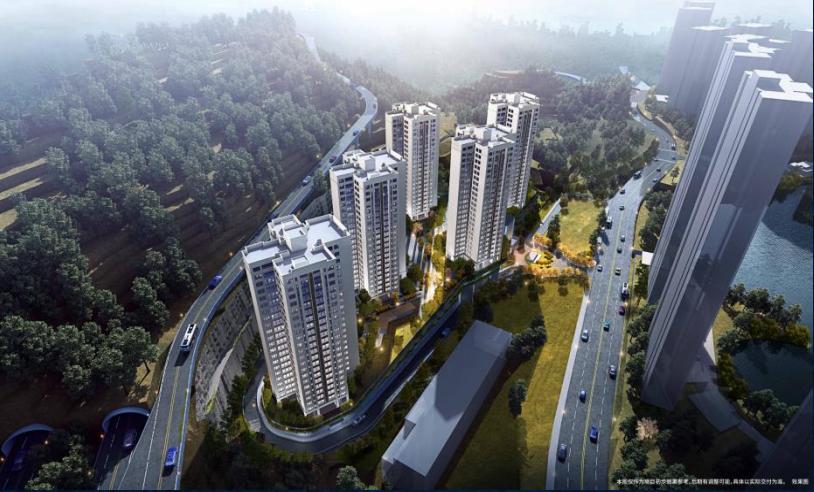 重庆放开限售了吗,目前全面放开的城市