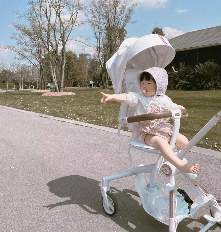 婴儿车十大品牌,婴儿车排行榜十强高端婴儿车品牌