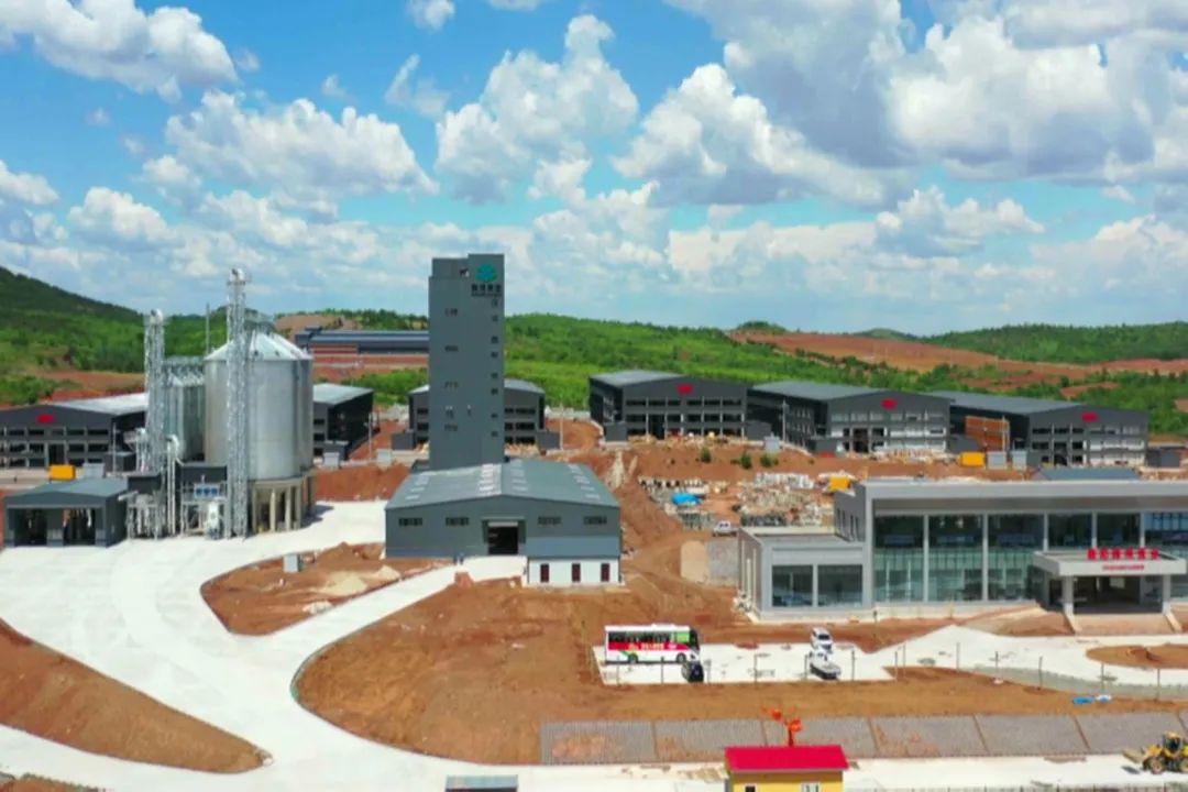 韩伟蛋业,韩伟蛋业辽宁朝阳