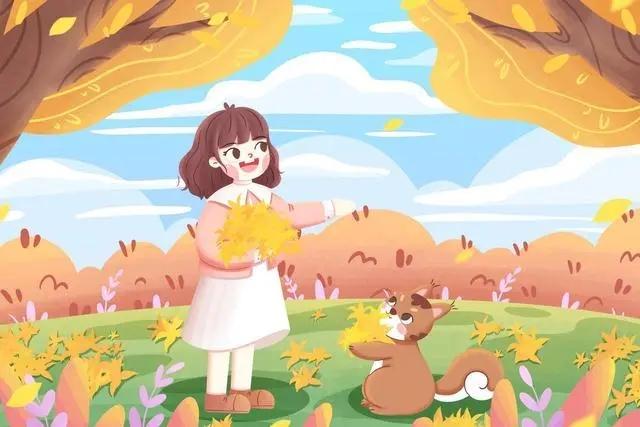 凤凰男的全部视频,凤凰男的相关视频