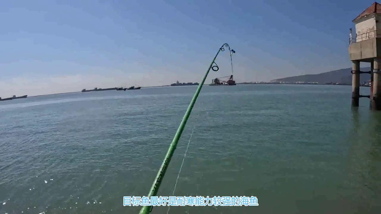 冬季海钓鱼的技巧,海钓知识与技巧