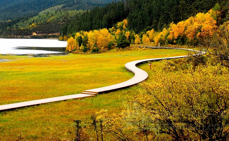 云南十大必玩景点你去过几个,云南丽江十大旅游景点大全