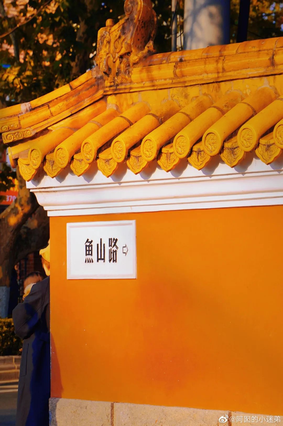 四月来青岛不可错过的打卡地,青岛绝美打卡点