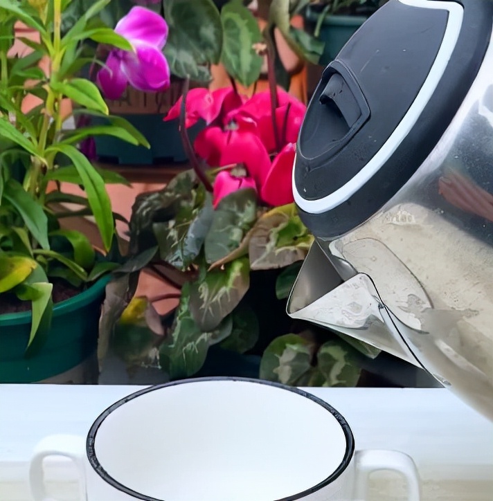 盆栽手捻葫芦种植时间和方法,室内种植手捻葫芦的最佳方法