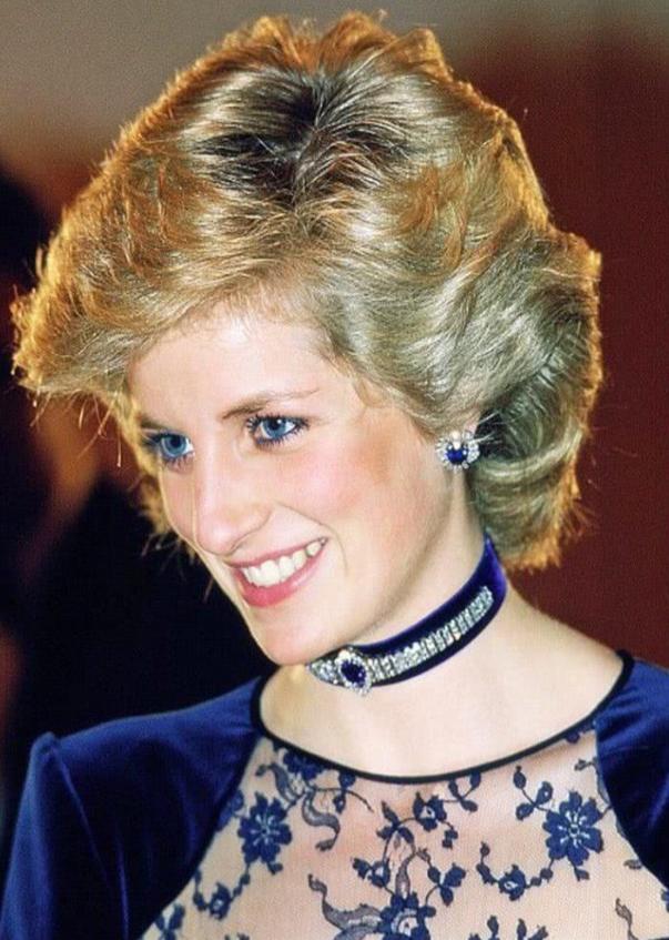 戴安娜与多迪的关系,多迪和戴安娜