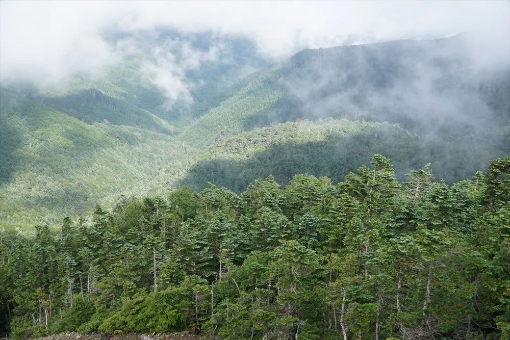 绌峰皬浼欑殑绁炴搷浣滄暣鎳典簡鍦ㄥ満鐨勪汉,绌峰睂涓濈鎿嶄綔