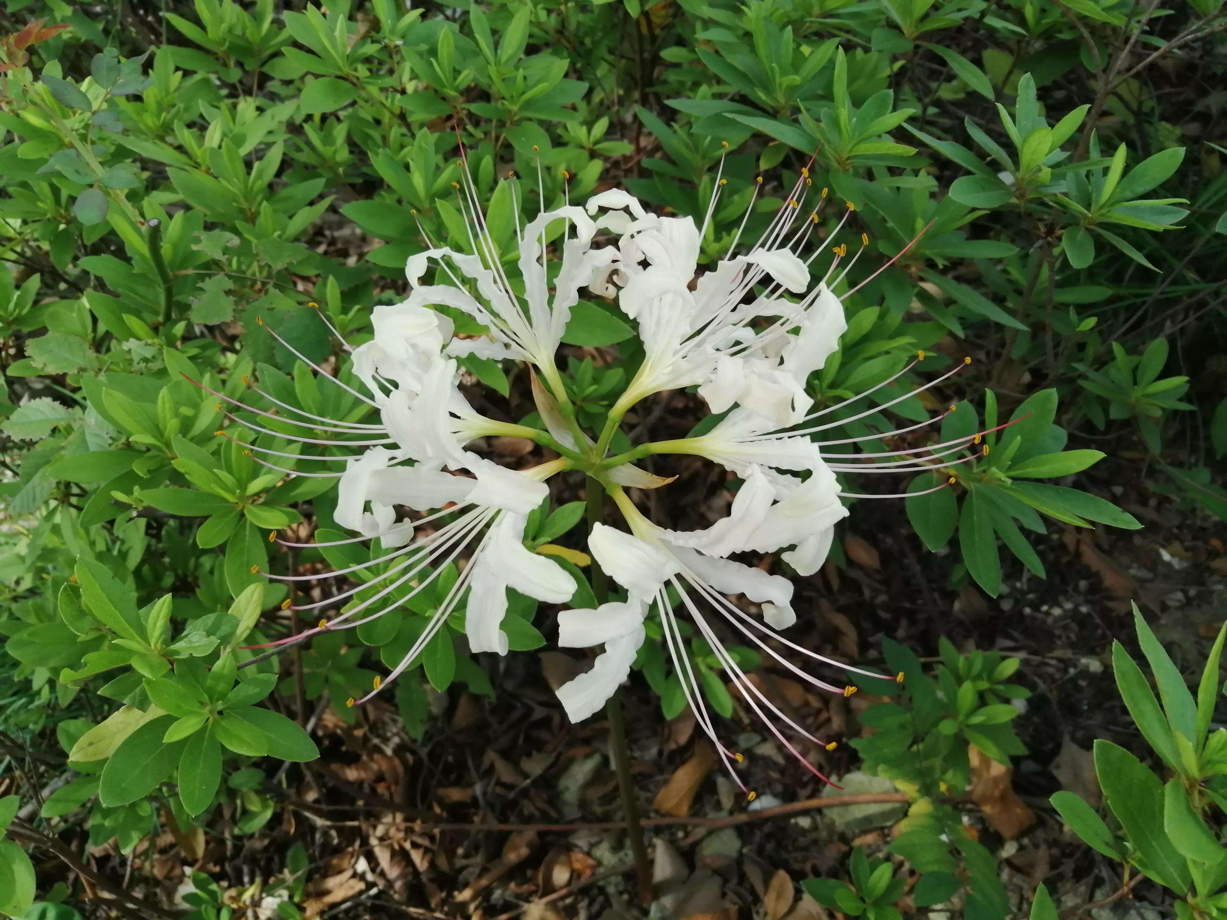 东园好玩的景点推荐,东园旅游景点推荐