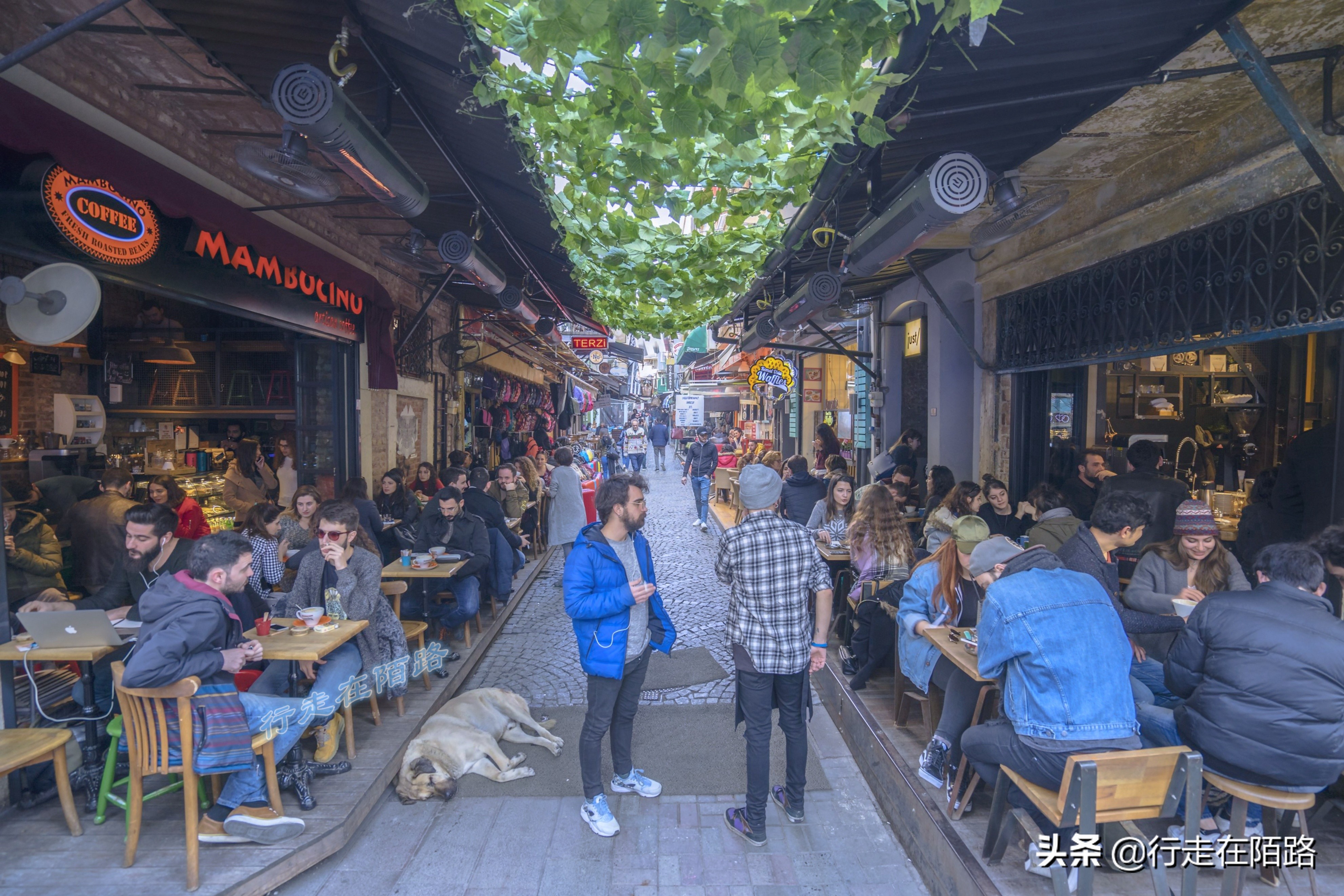 土耳其人茶文化,土耳其中文向导