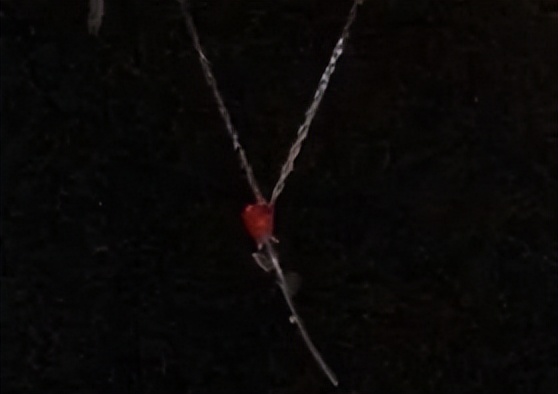 祝你离婚快乐！背着这只从不背叛你的包