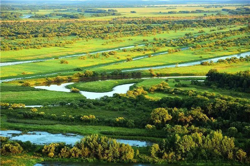 湿地可以开发什么旅游项目,黑龙江旅游必去十大湿地排名