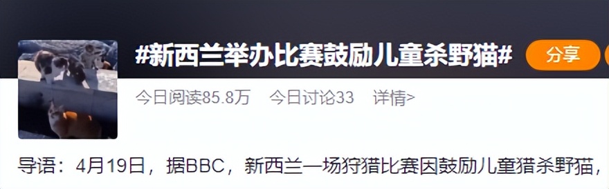 某地办比赛鼓励儿童猎杀野猫？！主办方：杀猫最多的奖励1000元！