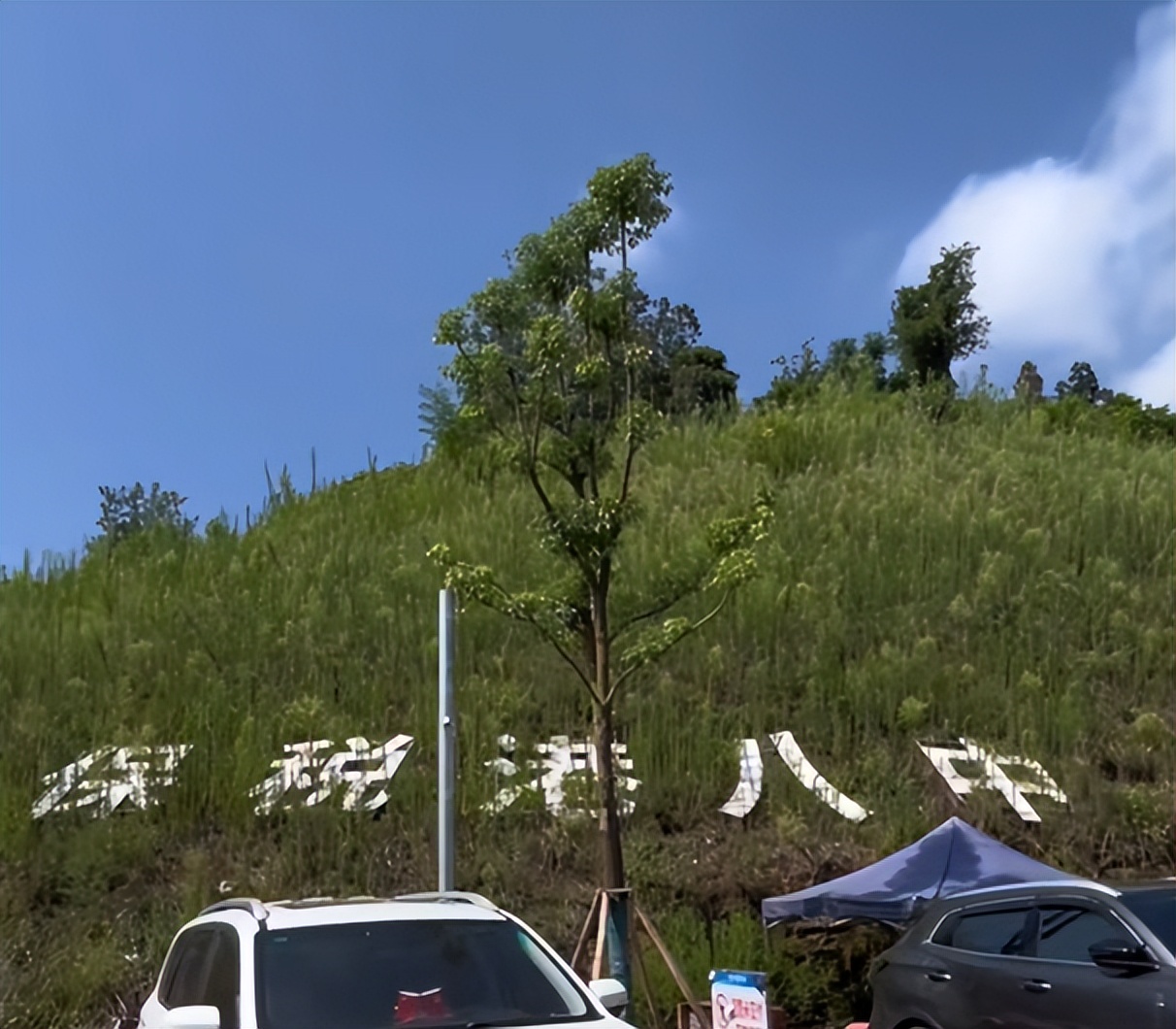 重庆八中两江片区,渝北八中和两江八中分别在哪里