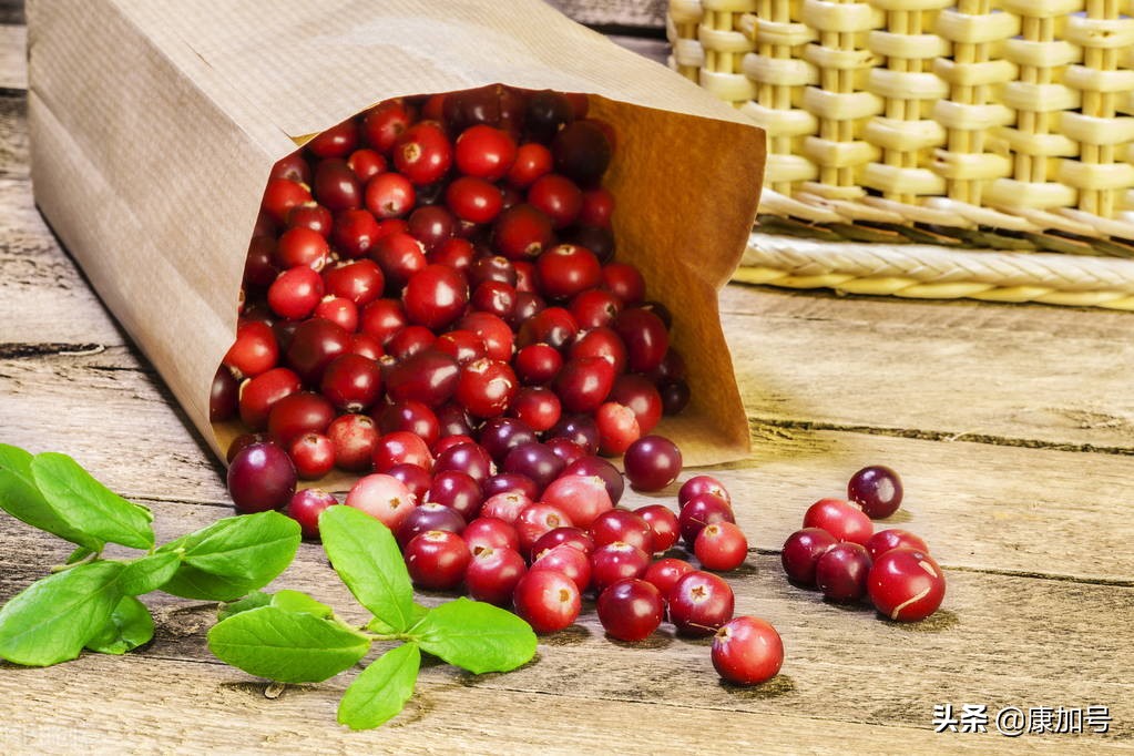 蔓越莓能延缓衰老吗,蔓越莓改善记忆