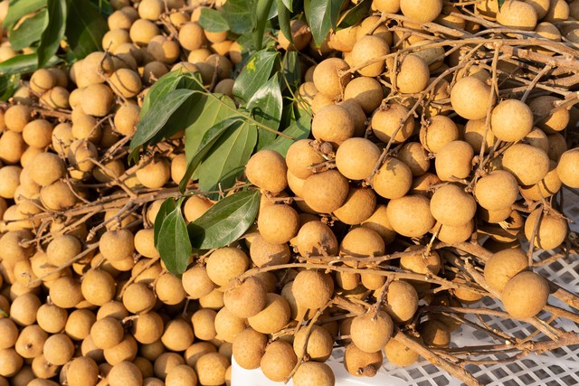 厦门第一座海滨城市,厦门沿海城市全景