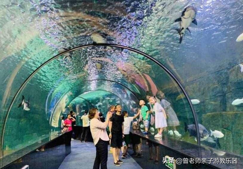 2023西安亲子游景区大全，30多个遛娃宝地，很多都免费