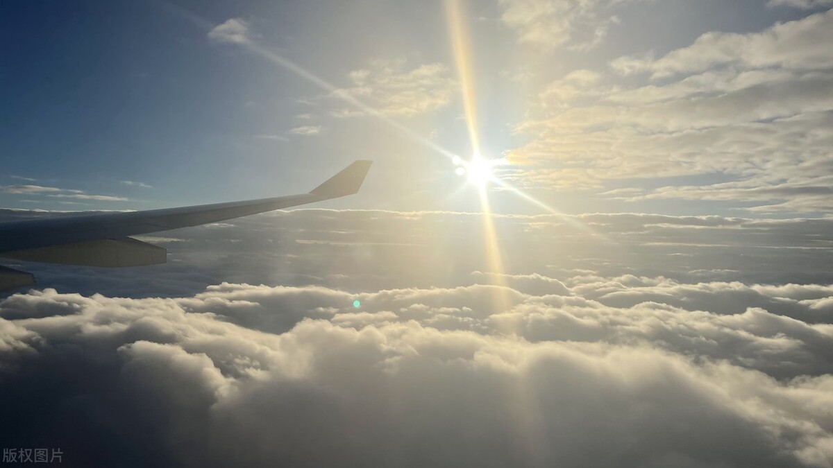 带你了解真正的抖音知识,抖音的基础逻辑你了解吗