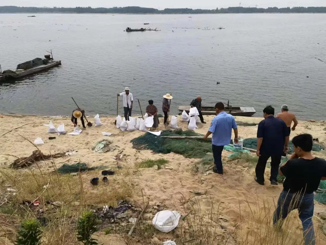 【新闻直通车】大众网点赞罗庄！市域社会治理经验汇｜“爱·在乡间--爱路护路百镇千村行”活动启动仪式举行