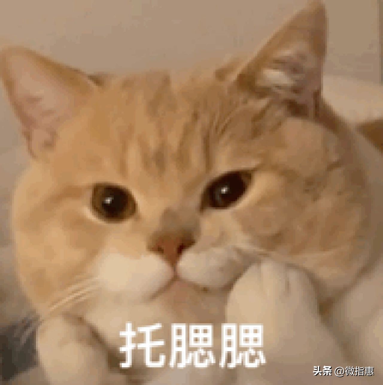 教您如何更改移动八元保号套餐,移动如何改8元保号套餐图解