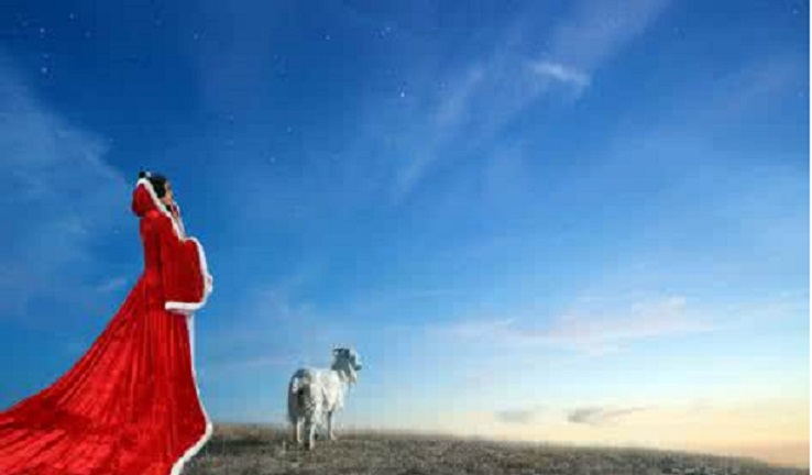 狐裘的价值也并不一,狐腋下之皮毛最为轻暖,因而是最高级的