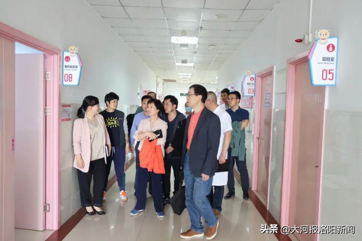 妇幼保健人才引进,国家级优质医疗资源接入洛阳