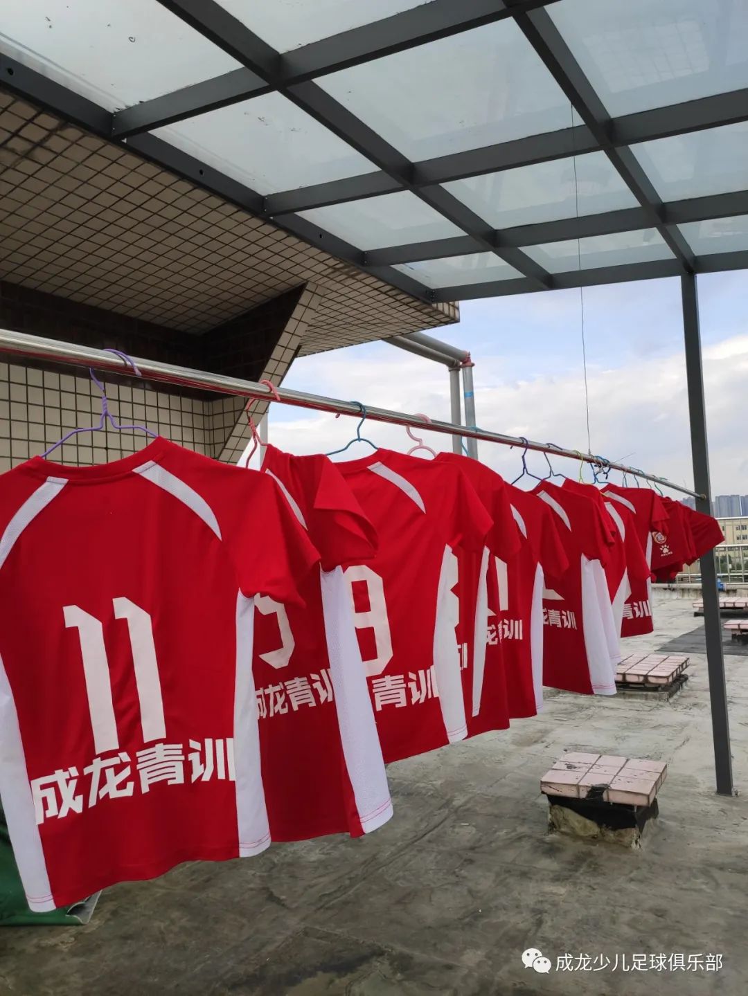 成龙少年篮球俱乐部,成龙青少年足球俱乐部