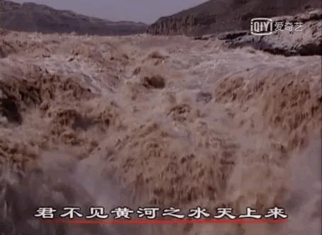 带你真切看人间的宝藏纪录片top10,十一长假适合带孩子看的纪录片