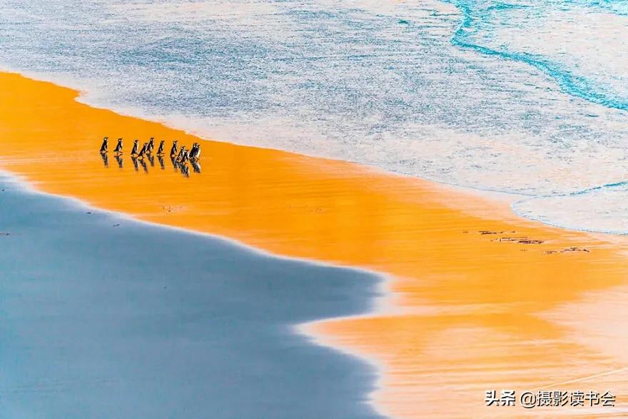 2018年度最佳摄影照片,创造出令人惊叹的自然摄影照片