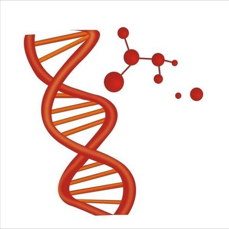基因编辑治疗疾病具体操作,基因组学治疗疾病的方法