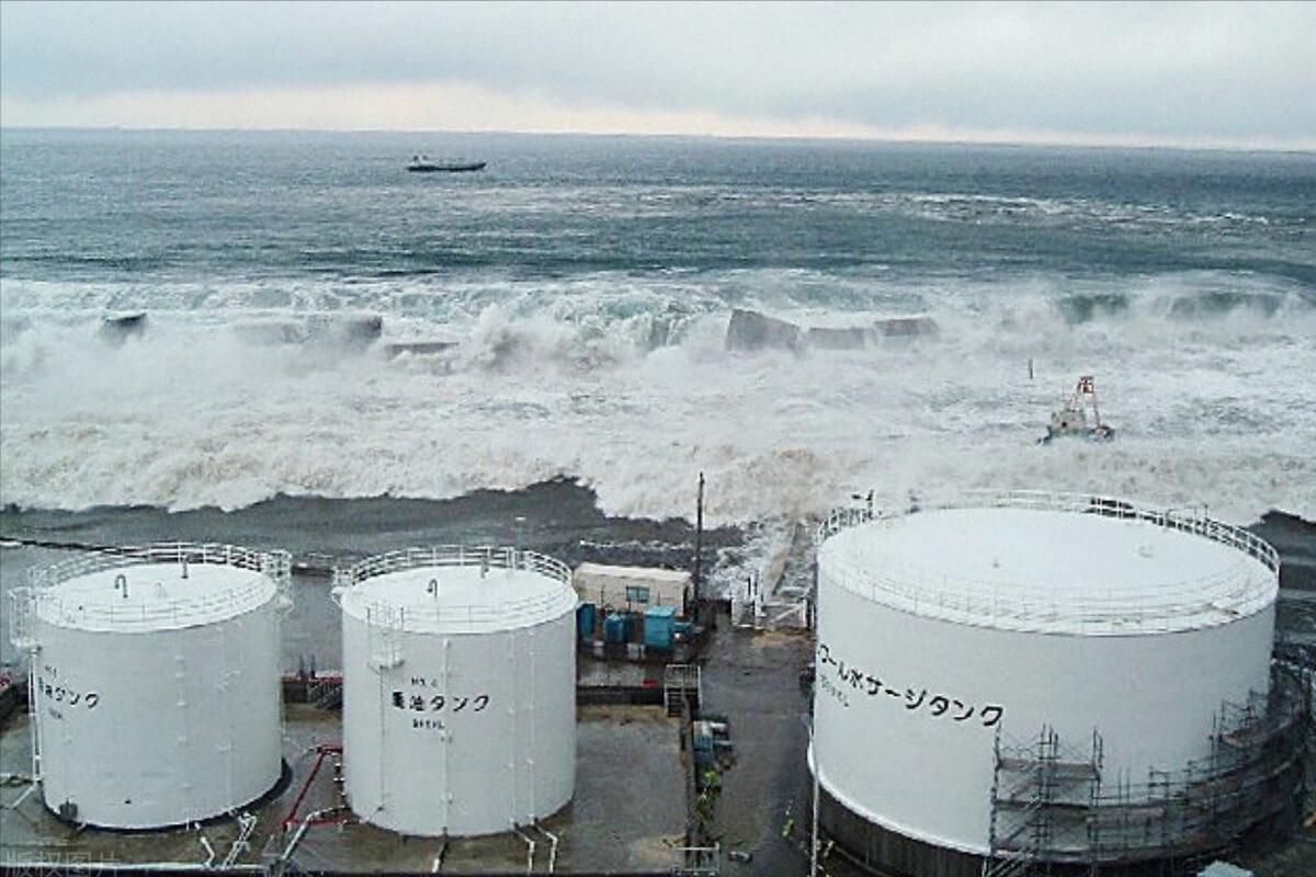 日本核辐射海里的动物怎么样了,日本福岛近海鱼辐射严重超标