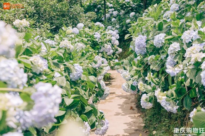 小长假旅游景点大全,夏季周边旅游美食之旅