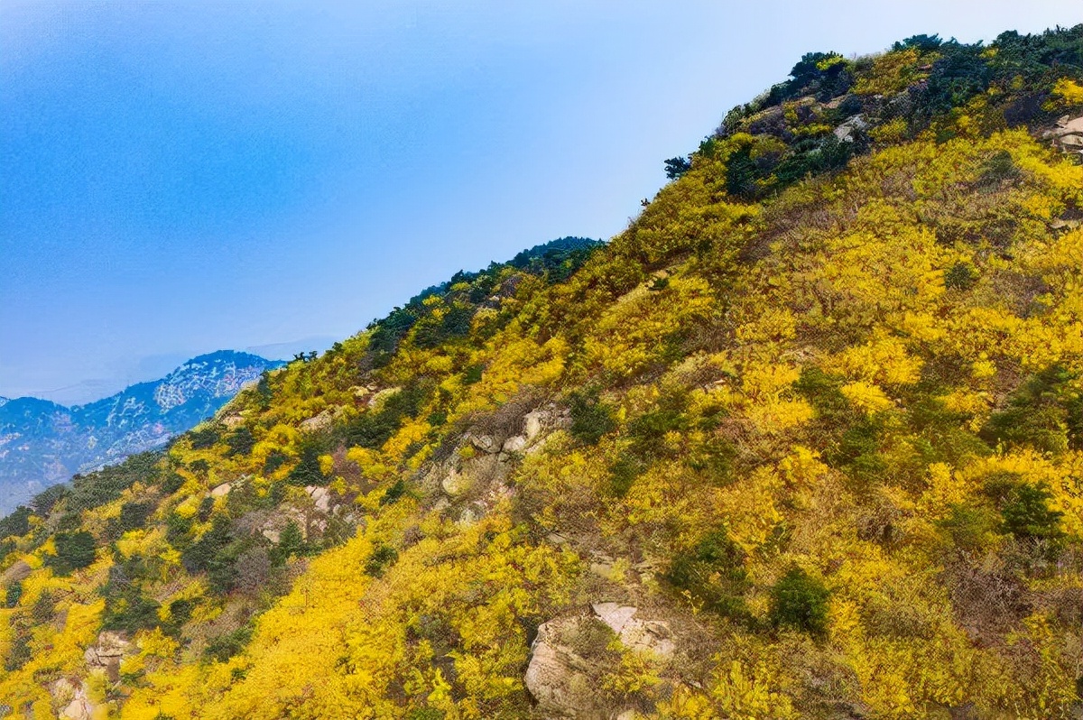 俺莱芜有美景|四季予你诗画香山