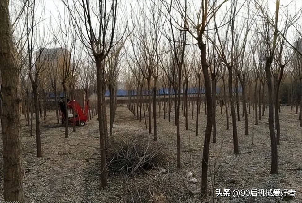 果木木炭加工,木材加工成木炭赚钱吗