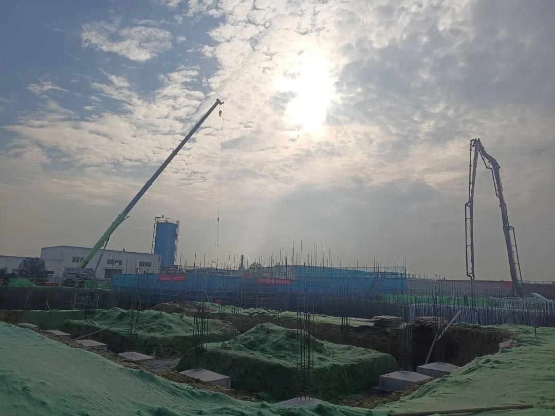 提前10个月!中派片区这个项目今年11月底投用