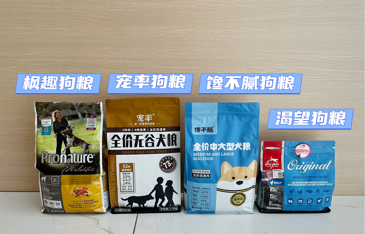 柯基为什么受欢迎,柯基为什么不受欢迎