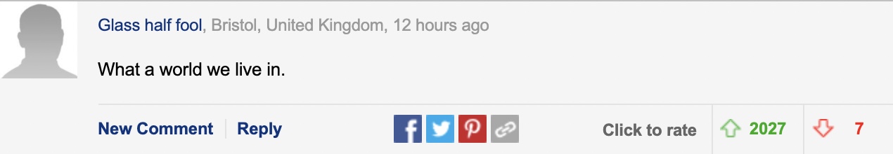 英国跨性别者性侵狗子被捕，获刑后抗议：我是女的，不去男监狱