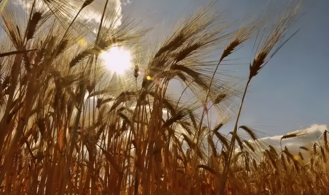 云岗新作《大孔》出版：这一年大孔进入了民国十七年
