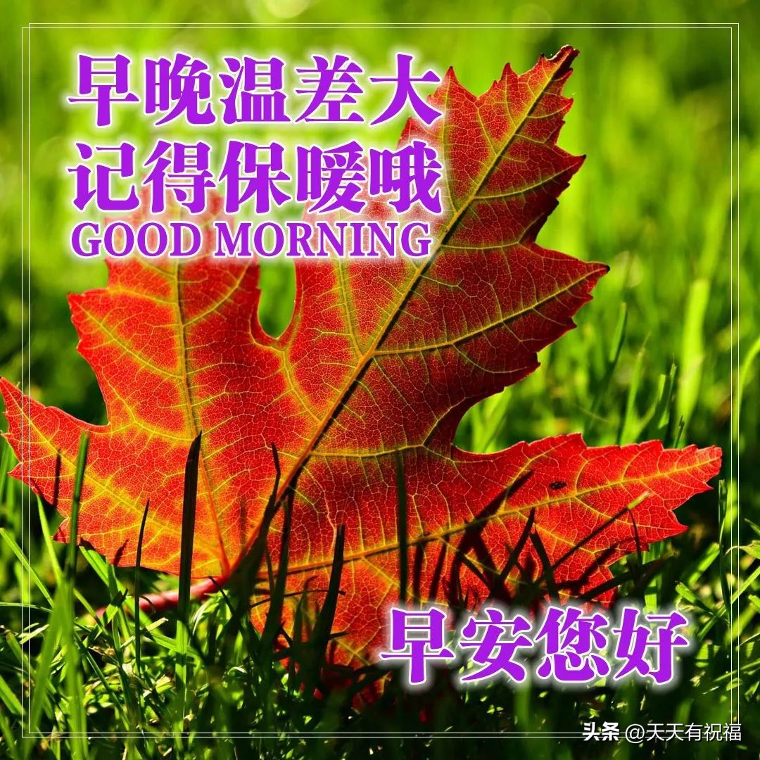 早上好带暧昧问候语动态图片,适合发朋友圈的问候早安动态图片