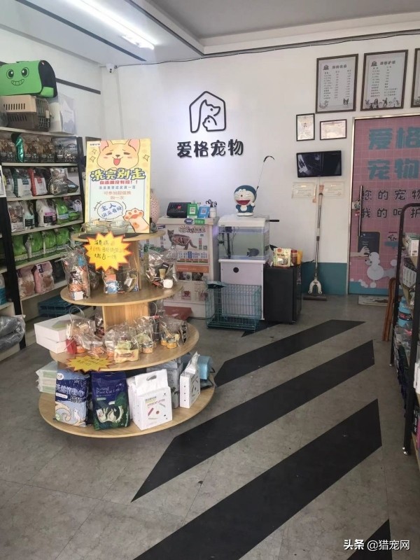 宠物店宠物美容师工资,宠物店美容师工资怎么拿的